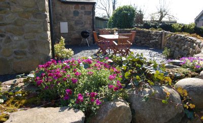 Anneddle Talybont Cottage
