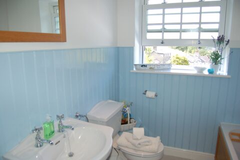 Glan Yr Afon Holiday Home with hot tub