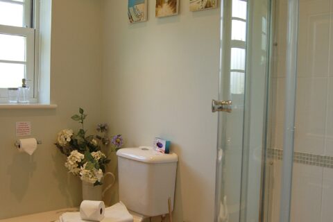 Glan Yr Afon Holiday Home with hot tub
