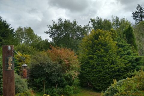 Llygad Yr Haul Woodland Setting with Mountain Views
