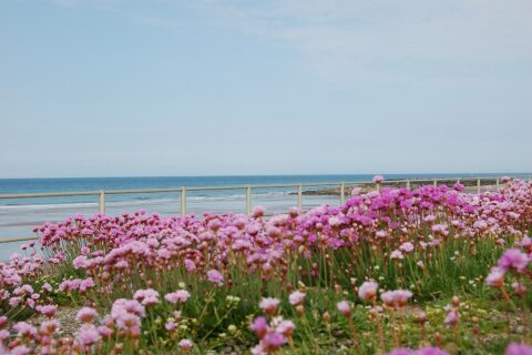 Caravan 251 Bryn Y Mor Beach Side Park