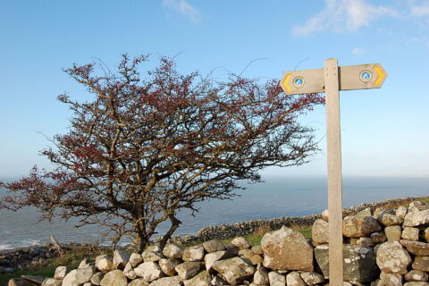 Wulfrun 3 bed bungalow, nr Tywyn Beach