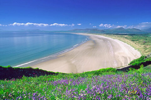 Hafan Y Traeth Beach Front Apartment in Barmouth