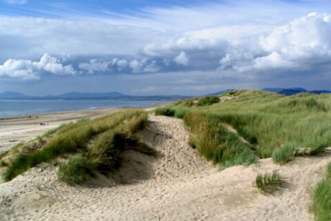 Hafan Y Traeth Beach Front Apartment in Barmouth