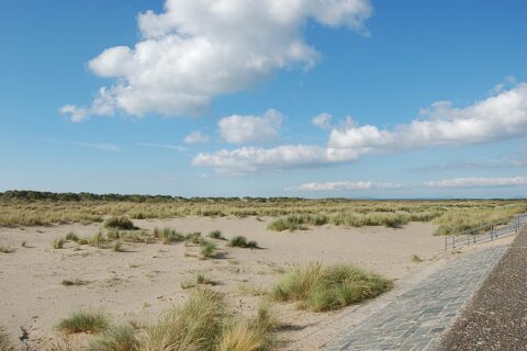 Abermaw Sea View Apartment
