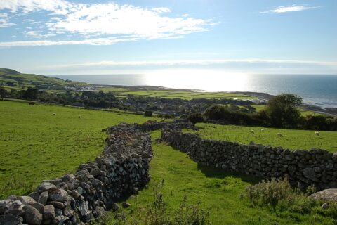 Glyn Saron Quality Cottage